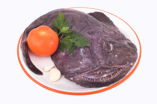 琵琶魚