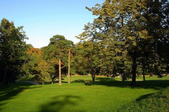 夏天的公園