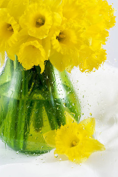 水仙花