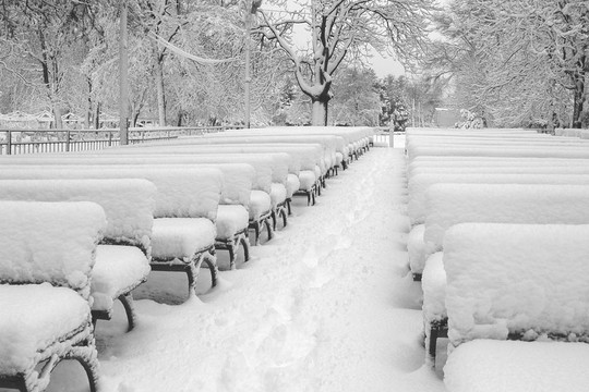 雪中的城市