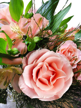 花束；Pink Roses