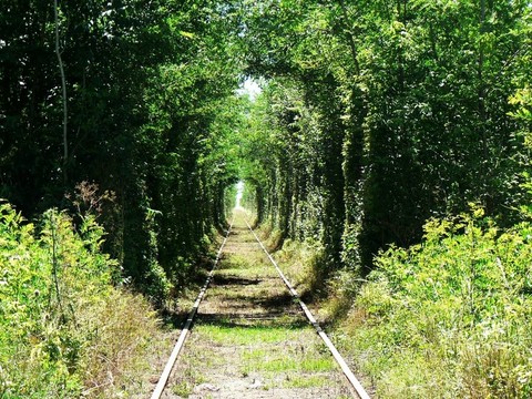 railtracks綠色