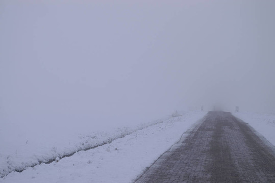 Frozen霧