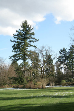 冬季公園
