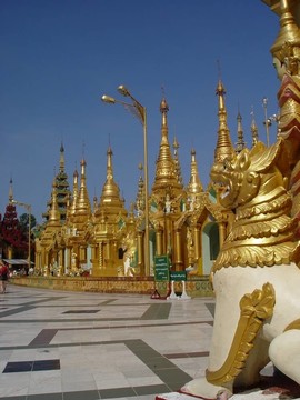 緬甸- Shwedagon