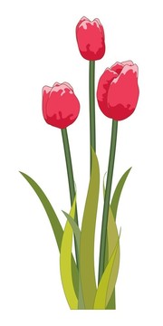 郁金香紅