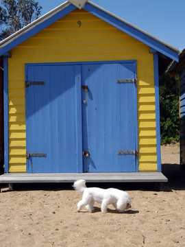 beachhouse