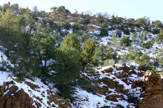 雪景