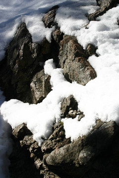 雪花模式