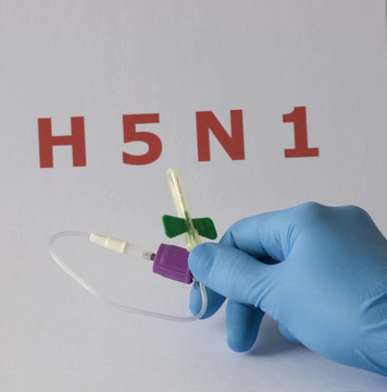 H5N1