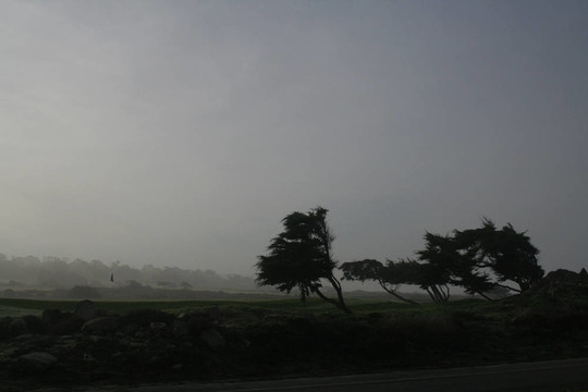 golf02