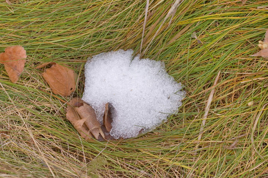 點雪