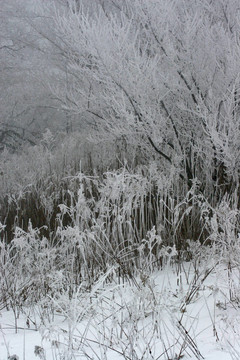 Frost先生4