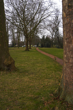 公園里的小路。