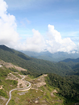 山景