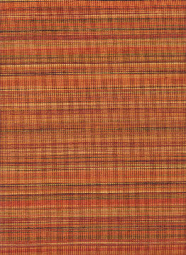 紋理系列- Striped Orange