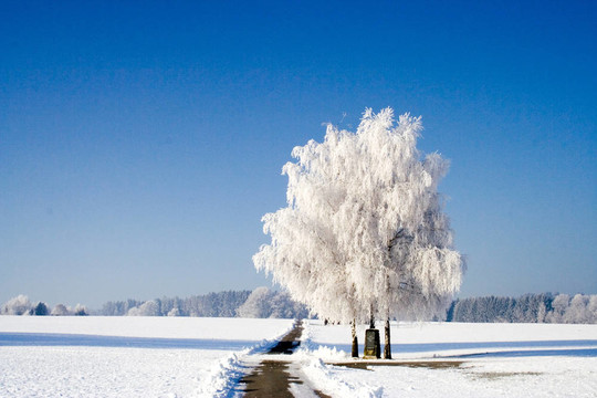 winterroad