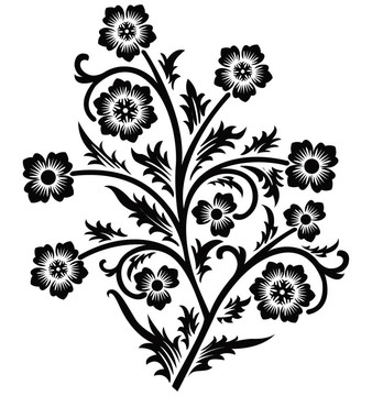 滾動(dòng)；渦卷裝飾；裝飾；圖