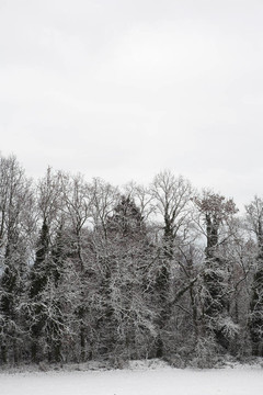 冰雪景觀4