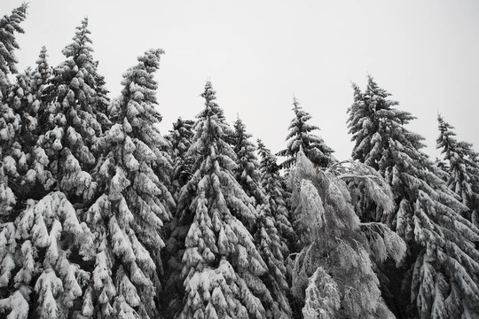 冰雪景觀10