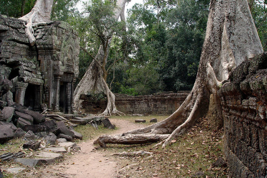柬埔寨- Angor Wat