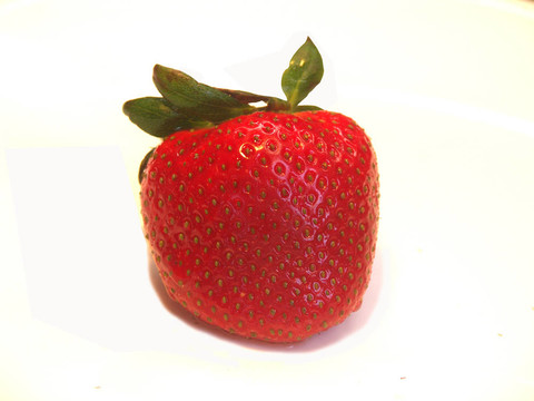草莓