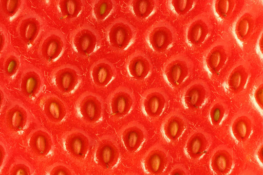 Strawberry的背景