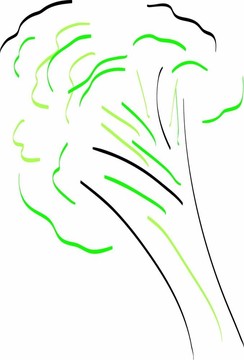 西蘭花