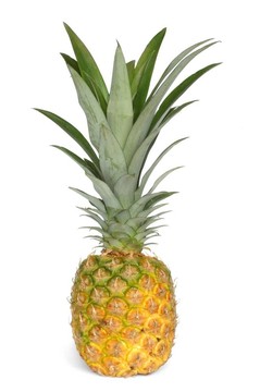 菠蘿
