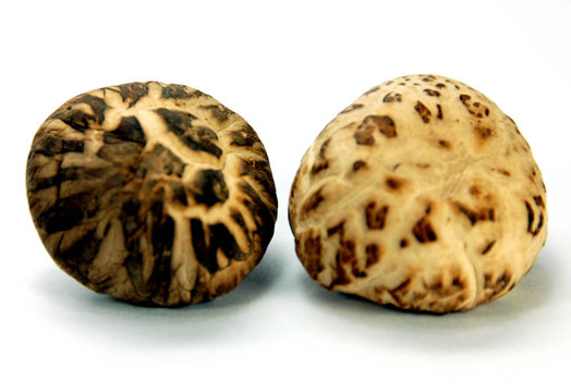 干mushroom2