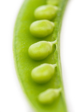 豌豆