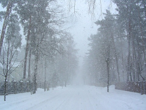 降雪