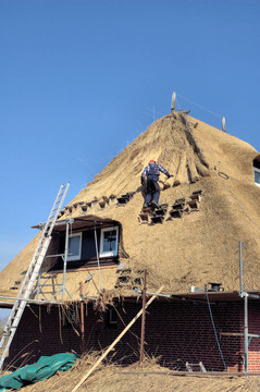 屋頂thatching1
