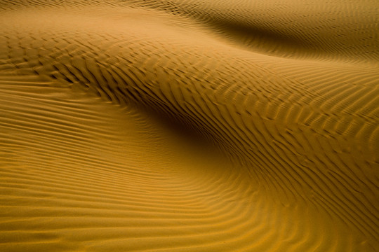 沙漠