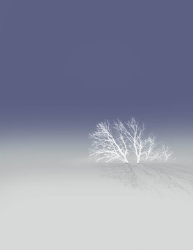 雪中的樹
