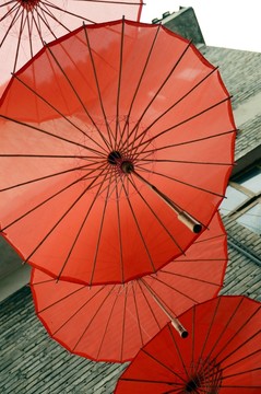 紅雨傘