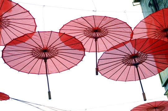 紅雨