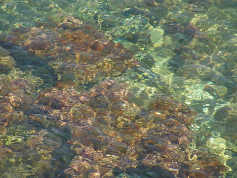 水晶海表面與海底視圖