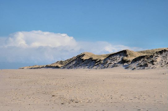 dunescape 7