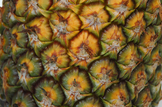 pinneapple