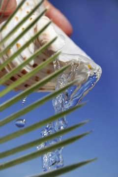 熱帶淡水