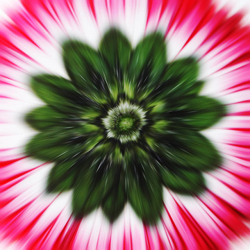 花放大