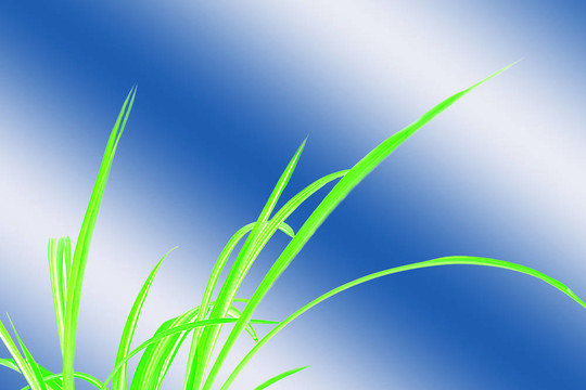 綠草藍白
