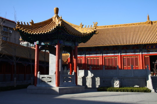 古建筑 仿古建筑 文廟