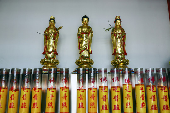 佛供燈 蠟燭