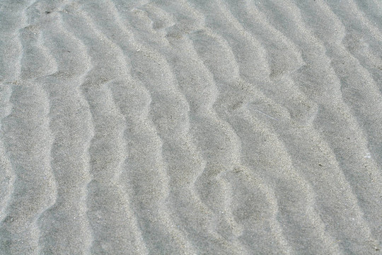 海濱灘涂