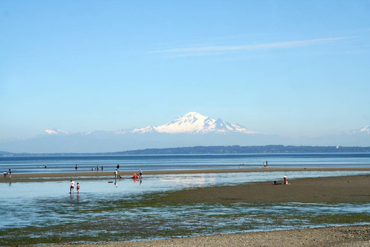 寧靜的海岸線