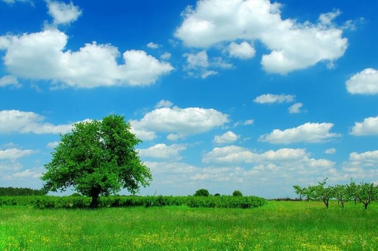 夏天的風景