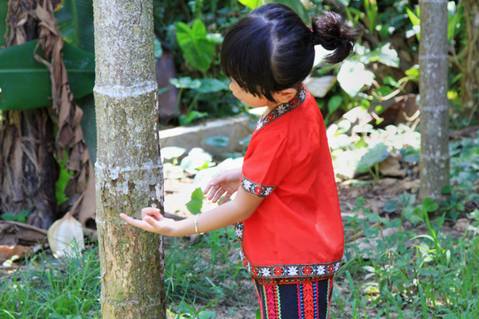 黎家小妹