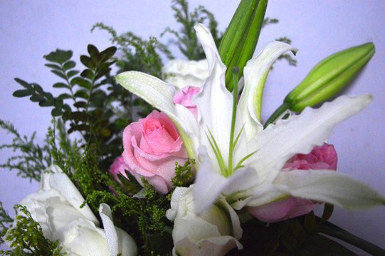百合玫瑰花
